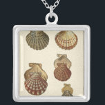 Crackled Antique Shells Silver Plated Necklace<br><div class="desc">Artist Denis Diderot is talented and known for his great sea life images. In this vivid image, he captures four crackled Conch seashells in their most natural style. Conches are often crackled like these four seashells and in a sepia looking tone. Get your seashell product today and you can picture...</div>
