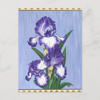 Craftsman Purple Iris Postcard