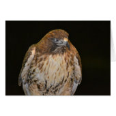 Crafty Hawk Cards (Front Horizontal)