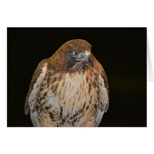 Crafty Hawk Cards (Front Horizontal)