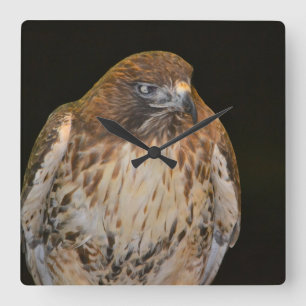 Crafty Hawk Square Wall Clock