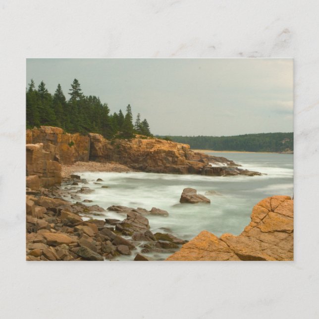 Craggy Coast, Acadia National Park, Maine Postcard (Front)