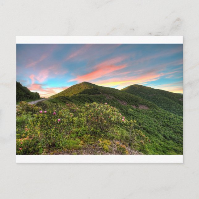 Craggy Pinnacle Sunset Postcard (Front)
