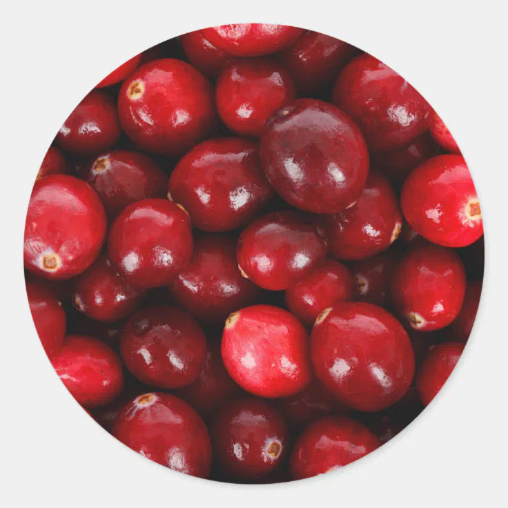 Cranberries Classic Round Sticker Zazzle