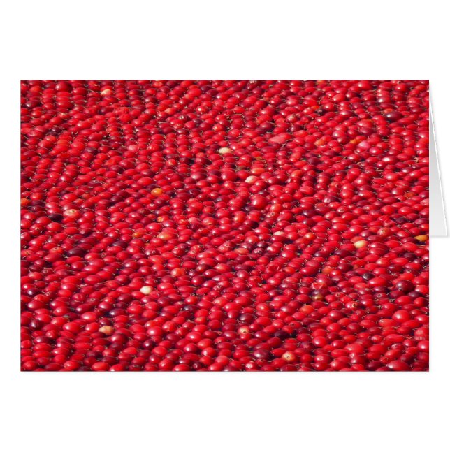 Cranberries Festive Red Cards (Front Horizontal)