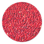 Cranberries Festive Red Classic Round Sticker