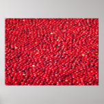 Cranberries Festive Red Poster