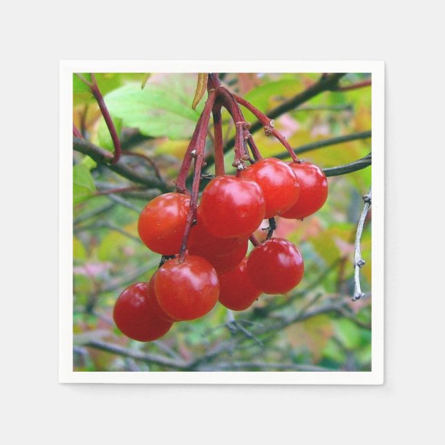 Cranberries Paper Napkins (Front)