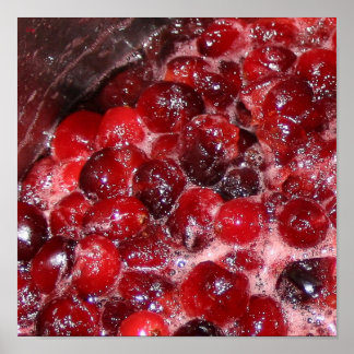 Cranberries Posters | Zazzle