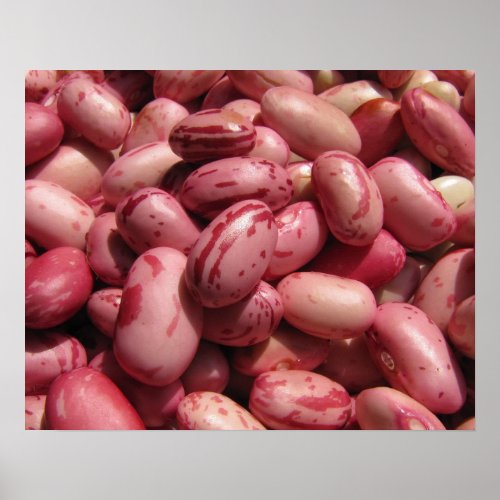 Cranberry Beans Poster