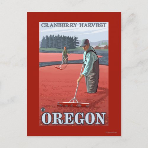 Cranberry Bogs Harvest Vintage Travel Poster Postcard