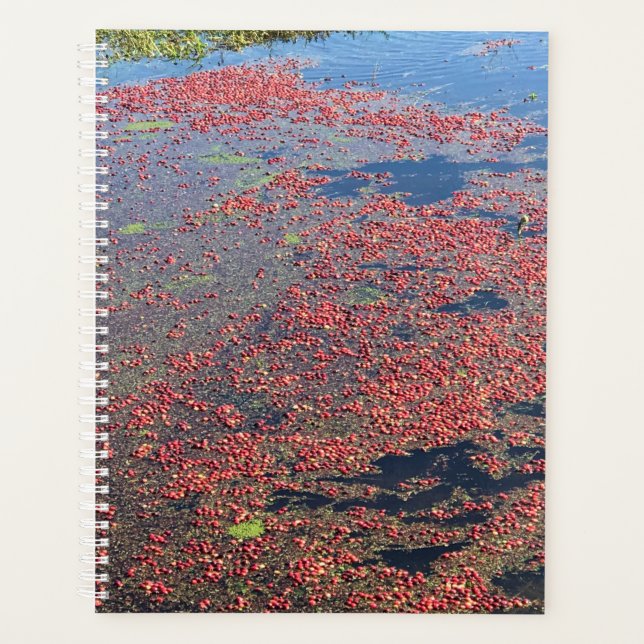 Cranberry Farm, Long Beach, Washington Planner (Front)