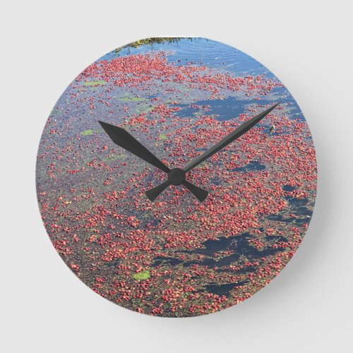 Cranberry Farm Long Beach Washington Round Clock