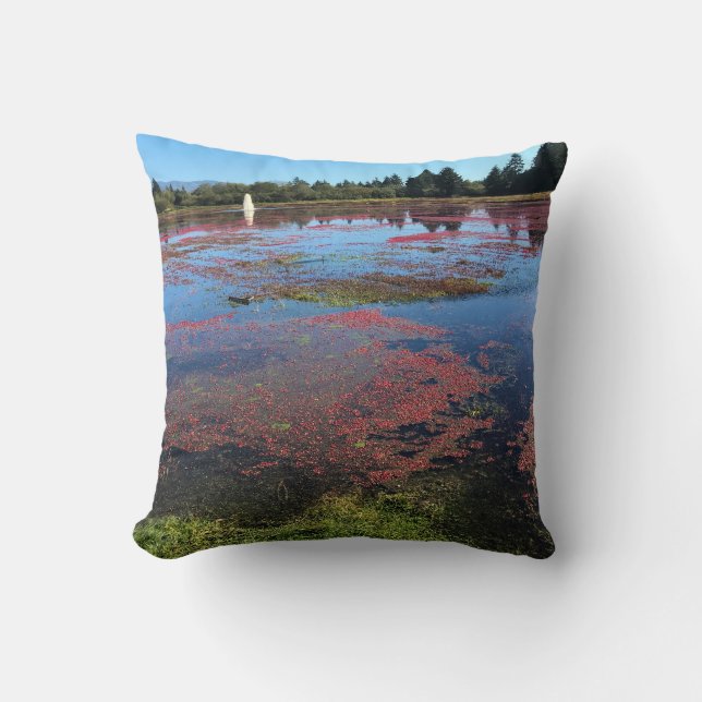 Cranberry Farm, Long Beach, Washington Throw Pillow (Front)