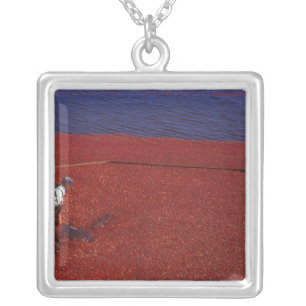 Cranberry Harvest, Middleboro, MA, USA Silver Plated Necklace