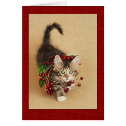 Cranberry Kitten Card