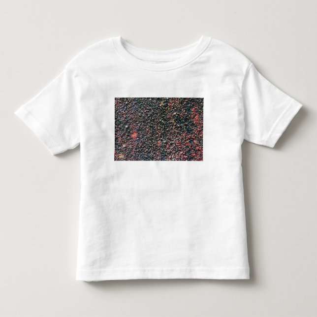 cranberry stir toddler t-shirt (Front)