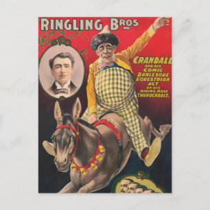 Crandall The Clown Performing With His Mule Postcard