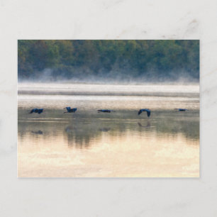 Crane Flight Painterly Postcard
