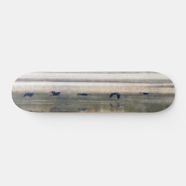 Crane Flight Painterly Skateboard Deck (Horz)