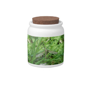 Crane Fly Candy Jar