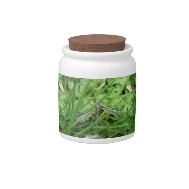 Crane Fly Candy Jar (Front)
