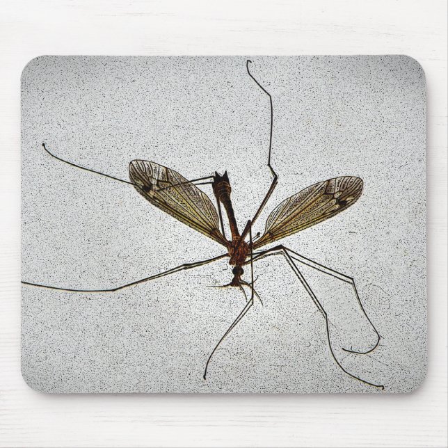 Crane Fly Insect Mousepad (Front)