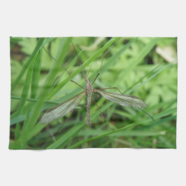 Crane Fly Kitchen Towel (Horizontal)
