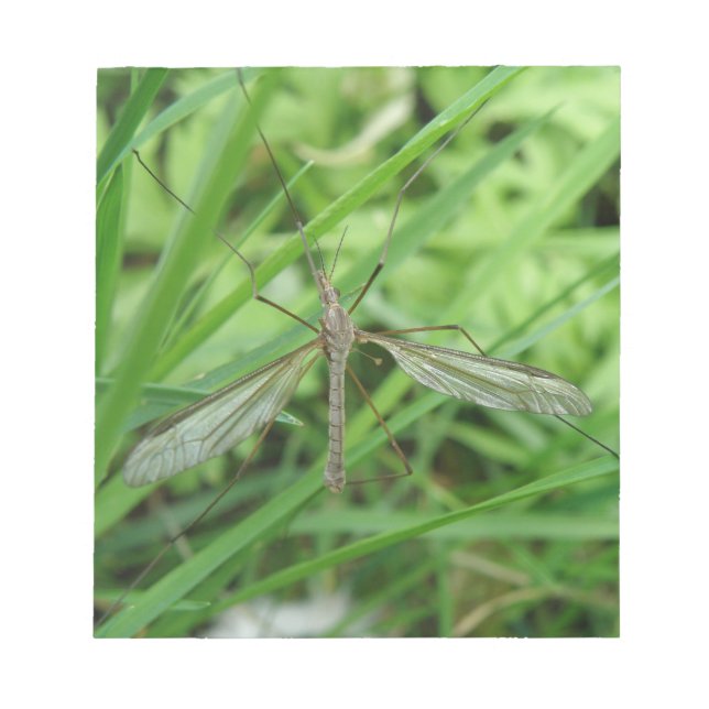 Crane Fly Notepad (Front)
