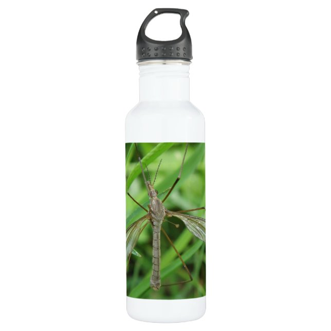 Crane Fly Stainless Steel Water Bottle (Front)