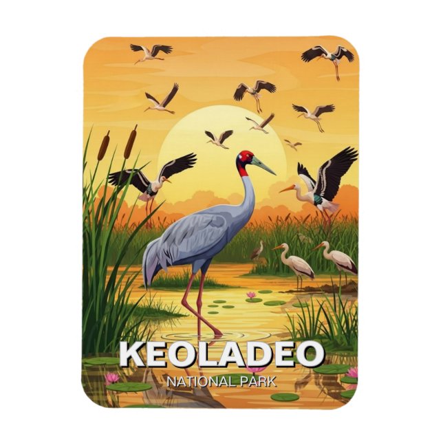 Crane in Keoladeo National Park India Travel Magnet (Vertical)