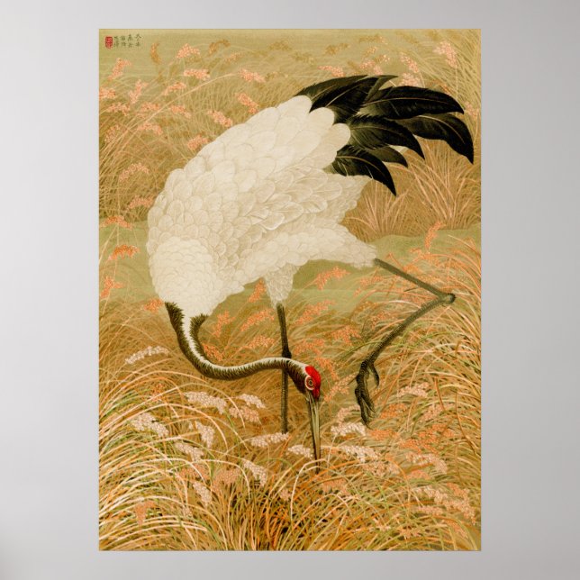 Crane in Rice Field Poster (Front)