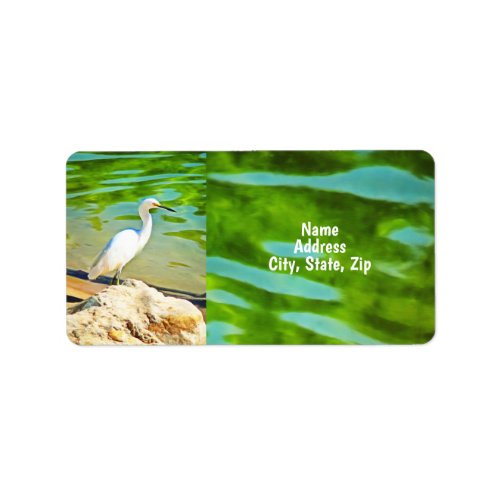 Crane On The Mismaloya River 0335 Address Label