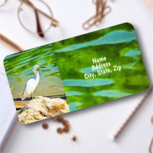 Crane On The Mismaloya River 0335 Address Label