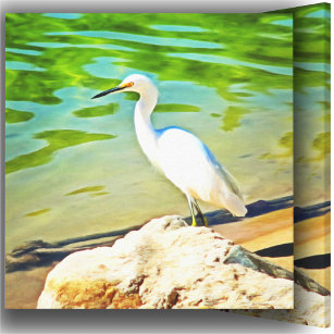 Crane On The Mismaloya River 0335 Art Canvas Print
