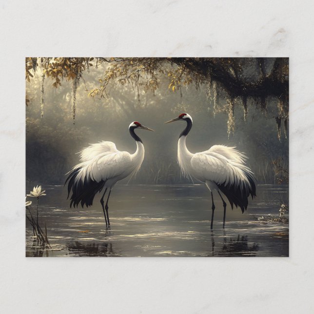 Crane Pair in a Misty Marsh Postcard (Front)