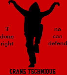 crane_technique_karate_kid_no_can_defend_keychain-rcf6c082121c848b18c8ff2cbba7617e3_x7j3z_8byvr_307.jpg