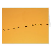Cranes at sunrise (Front Horizontal)