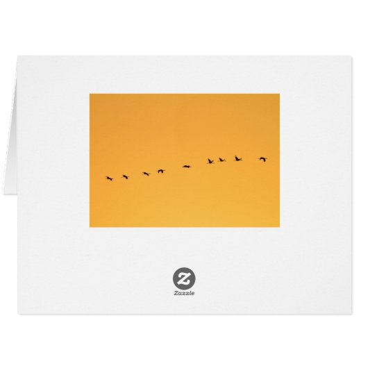 Cranes at sunrise (Back Horizontal)