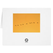 Cranes at sunrise cards (Back Horizontal)