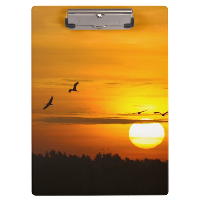Cranes at sunrise clipboard (Front)