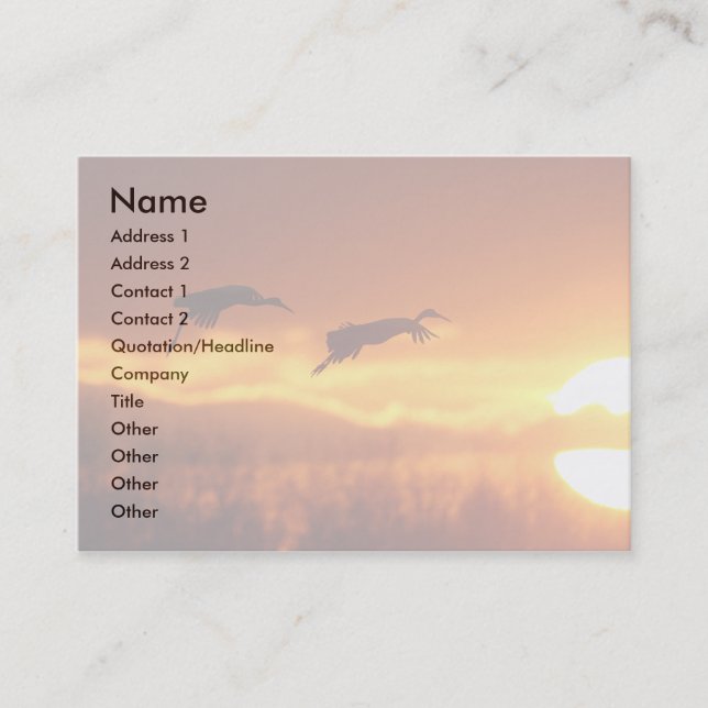 cranes business card (Front)