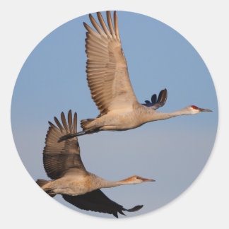 cranes classic round sticker