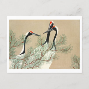 Cranes from Momoyogusa Postcard