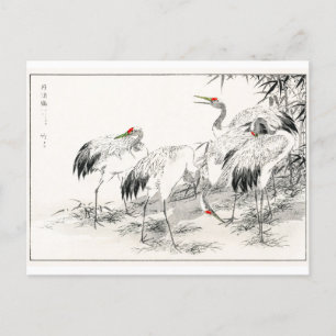 Cranes In Bamboo Forest Vintage Japanese Art Postcard