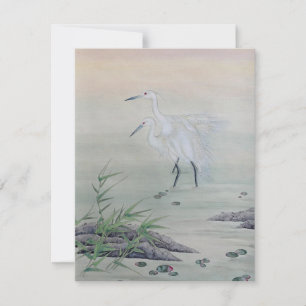 Cranes in Chinese River 