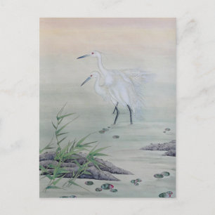 Cranes in Chinese River Postcard