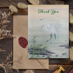 Cranes in Chinese River  Postcard