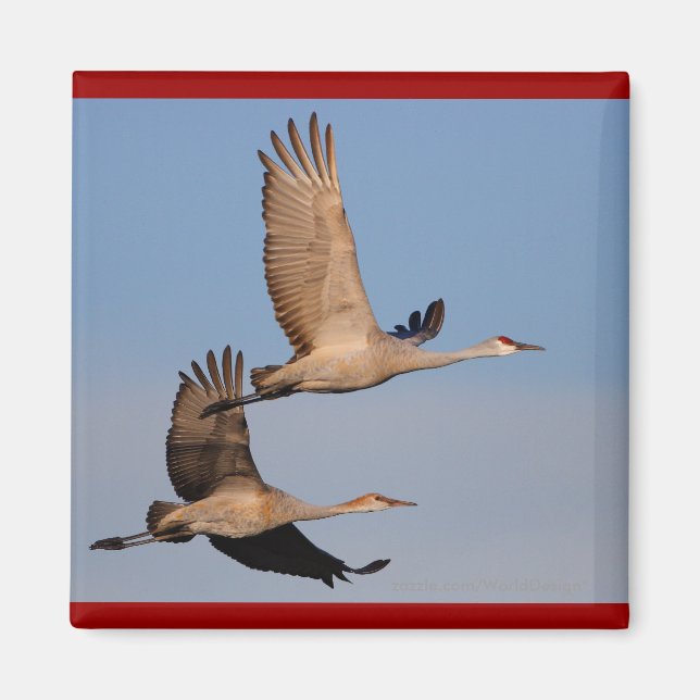 Cranes Magnet (Front)