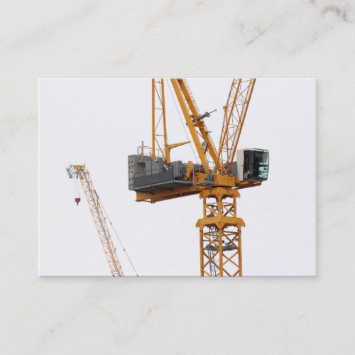 Cranes Mini Photo Business Card